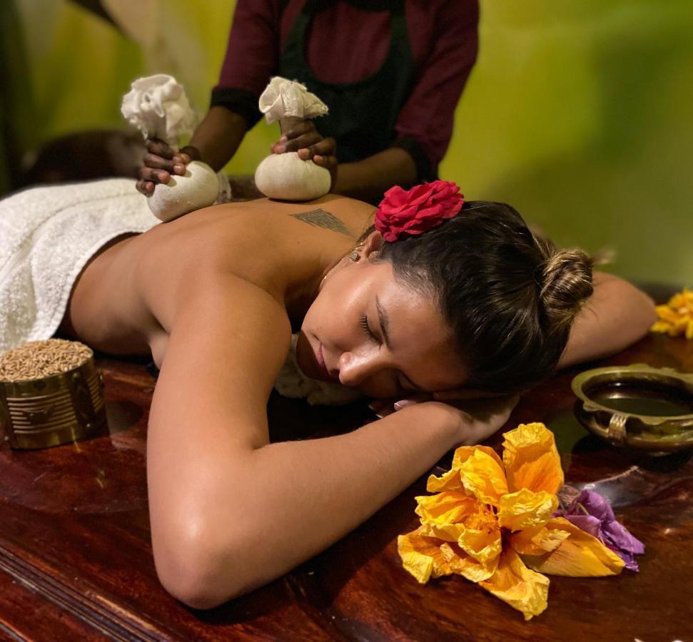 Fun Retreat Resort, Hotel And Ayurveda Spa 阿鲁沙 外观 照片